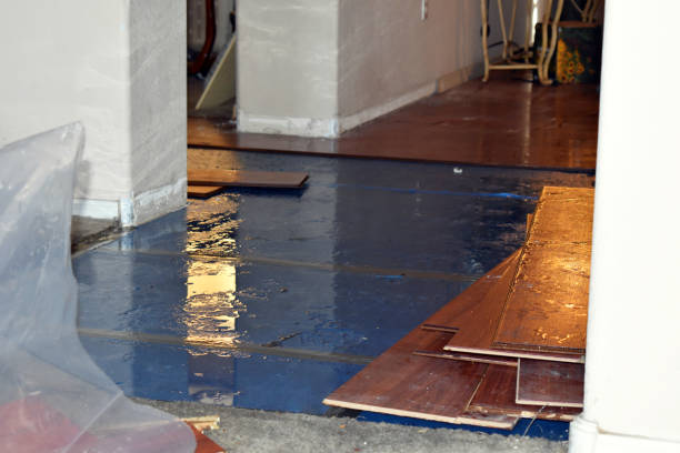 Professional Water Extraction technician working in Newton Highlands, MA